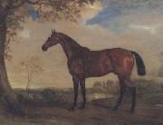John Ferneley Portrait of a Hunter Mare,The Property of Robert shafto of whitworth park,durham oil painting reproduction